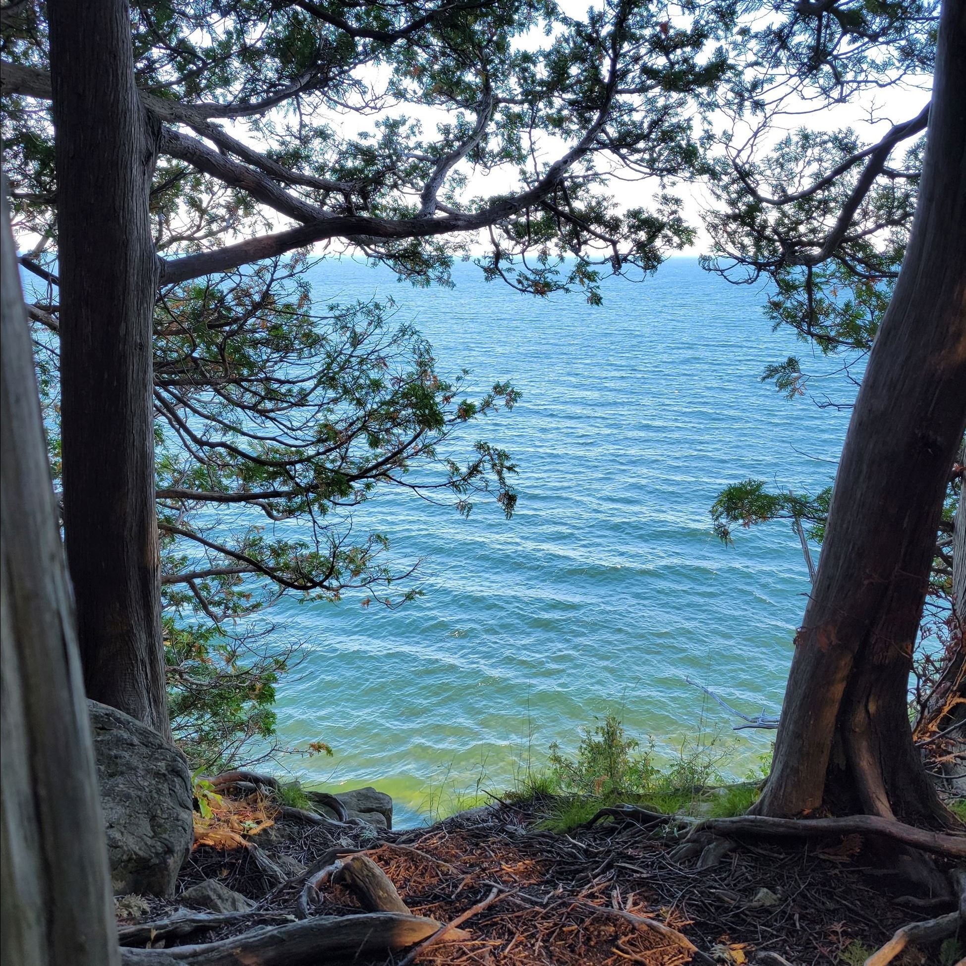 20250926_090723 - Copy 20250926_090723 - Copy